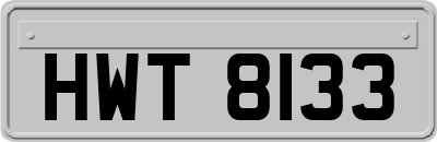 HWT8133