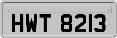 HWT8213