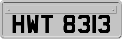 HWT8313