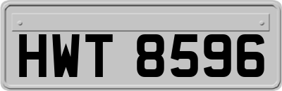 HWT8596