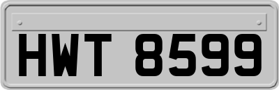 HWT8599