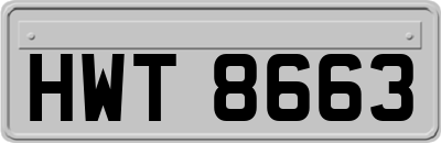 HWT8663