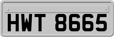 HWT8665
