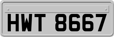HWT8667