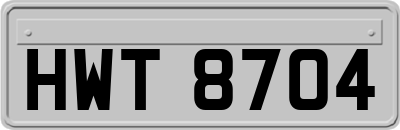 HWT8704
