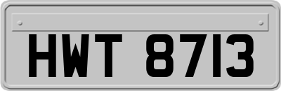 HWT8713