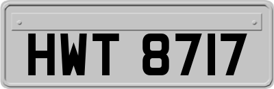 HWT8717