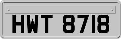 HWT8718