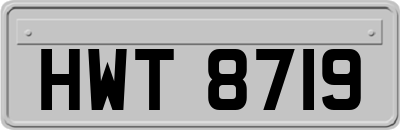 HWT8719