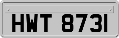 HWT8731