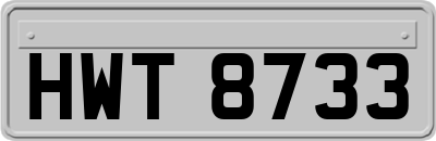 HWT8733