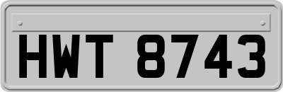 HWT8743