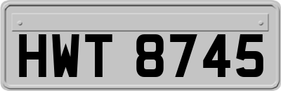 HWT8745
