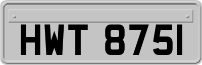 HWT8751