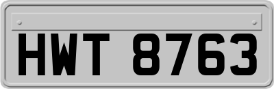 HWT8763