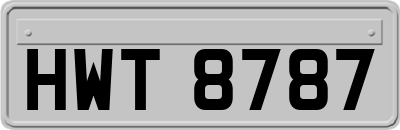 HWT8787