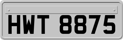 HWT8875