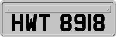 HWT8918