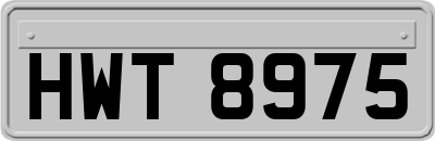 HWT8975