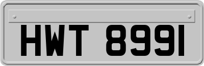 HWT8991