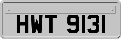 HWT9131