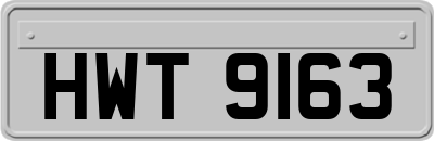 HWT9163