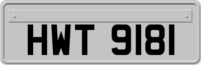 HWT9181