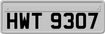 HWT9307
