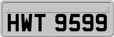 HWT9599