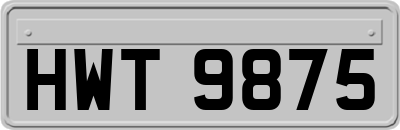 HWT9875