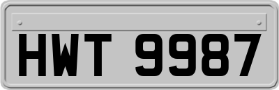HWT9987