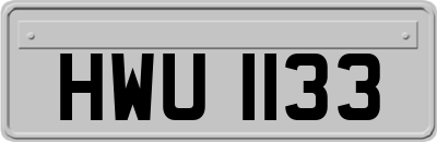 HWU1133