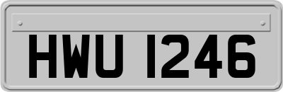 HWU1246