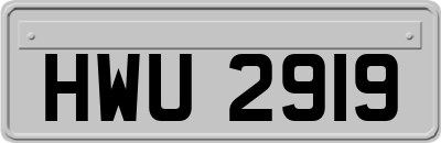 HWU2919