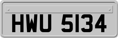 HWU5134