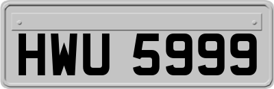 HWU5999