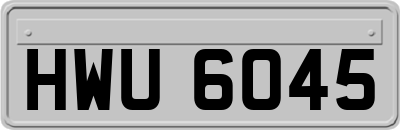 HWU6045