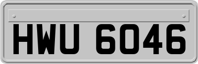 HWU6046