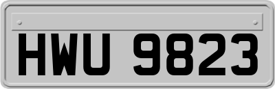 HWU9823
