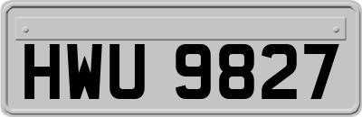 HWU9827