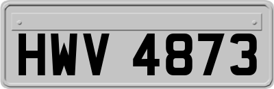 HWV4873