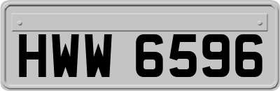 HWW6596