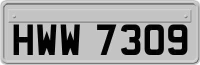 HWW7309