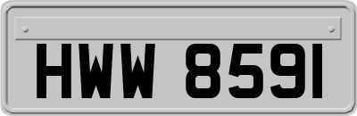 HWW8591
