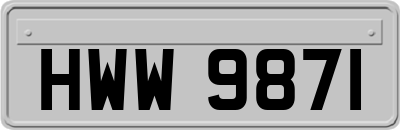 HWW9871