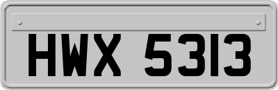 HWX5313