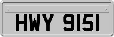 HWY9151