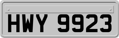 HWY9923