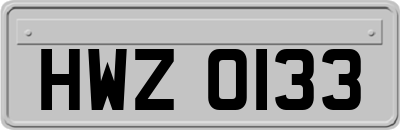 HWZ0133