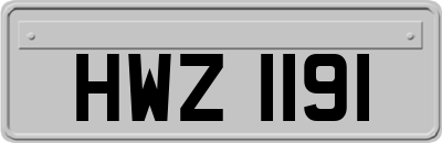 HWZ1191